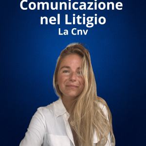 Lo Stile Comunicativo nel Litigi