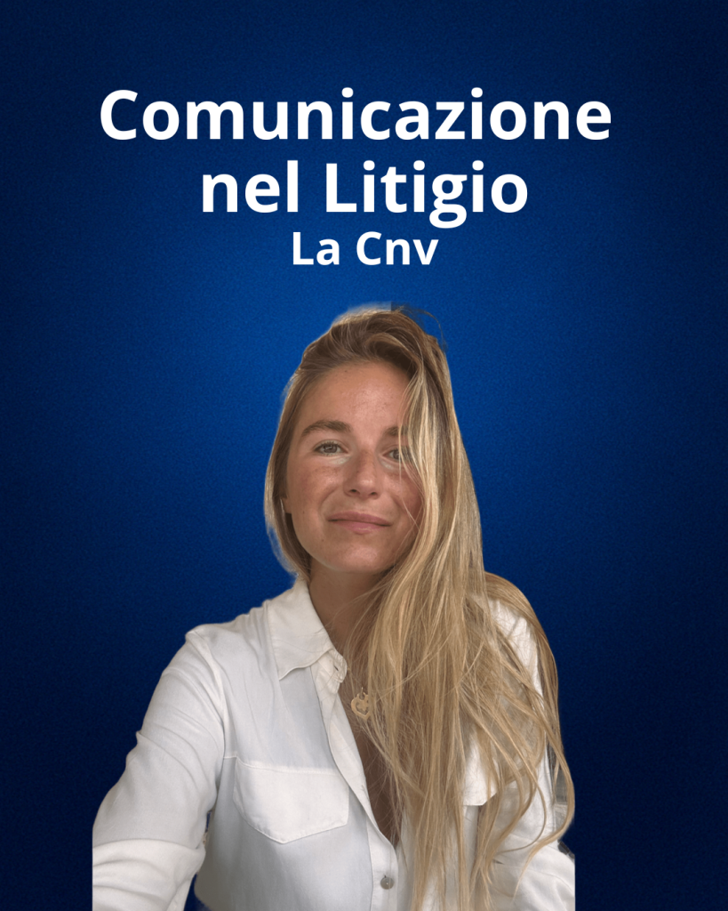 Lo Stile Comunicativo nel Litigi