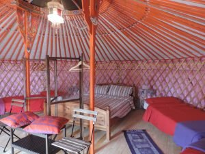 yurta-malva-inside-2-copia (1)